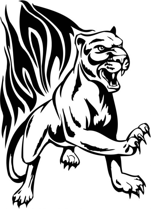 BIG-FLAMING-CAT-089