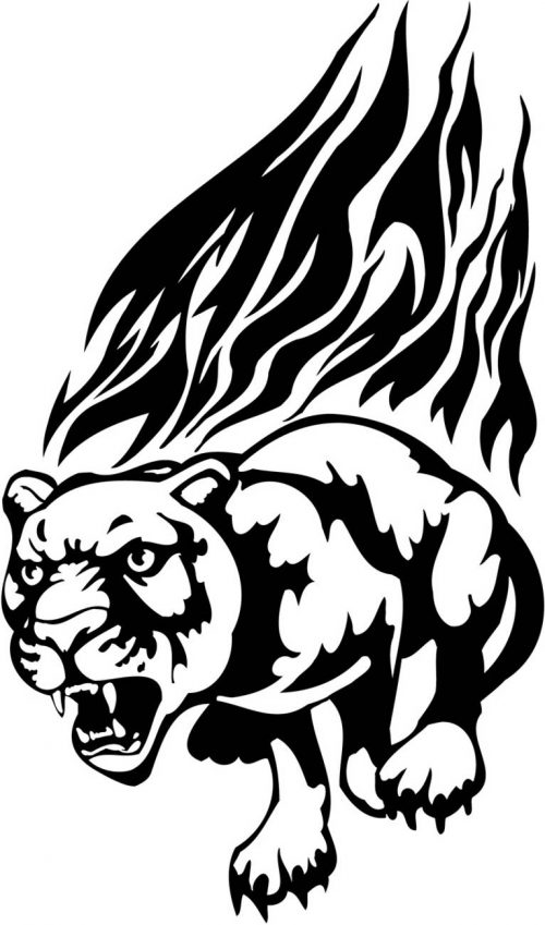 BIG-FLAMING-CAT-094