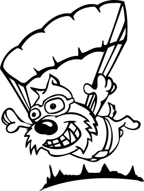 DOG-126