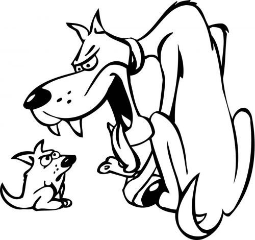 DOG-136