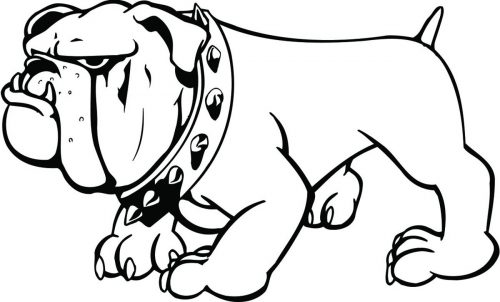 DOG-147