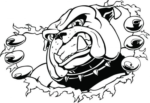 DOG-150