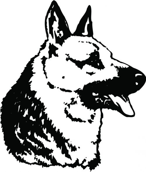 DOG-158