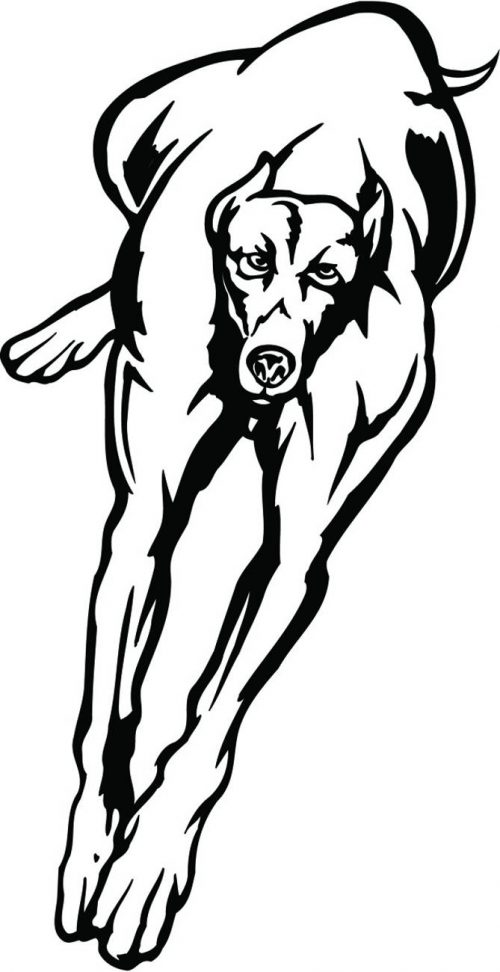 DOG-159