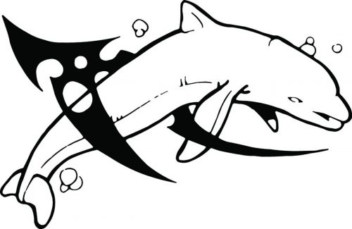DOLPHIN-447