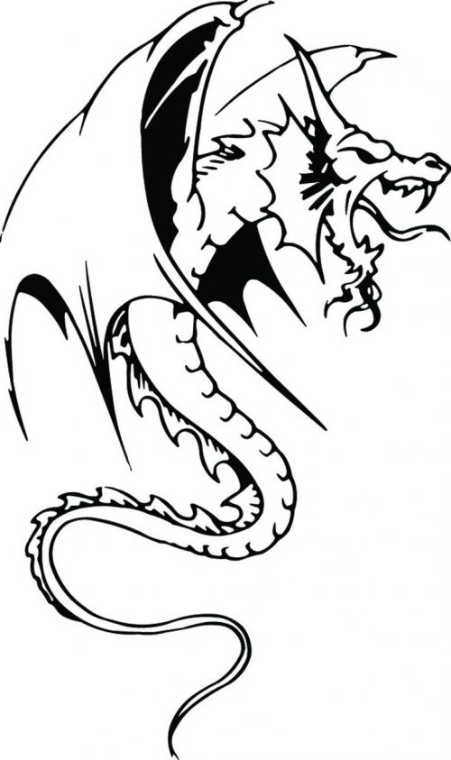 DRAGON-960