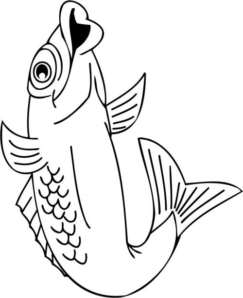 FISH-CARTOON-157