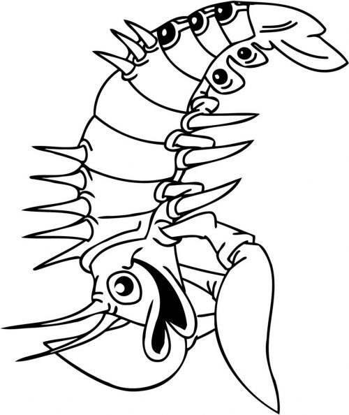 FISH-CARTOON-197