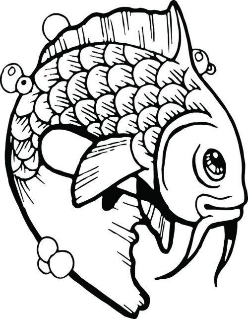 FISH-095