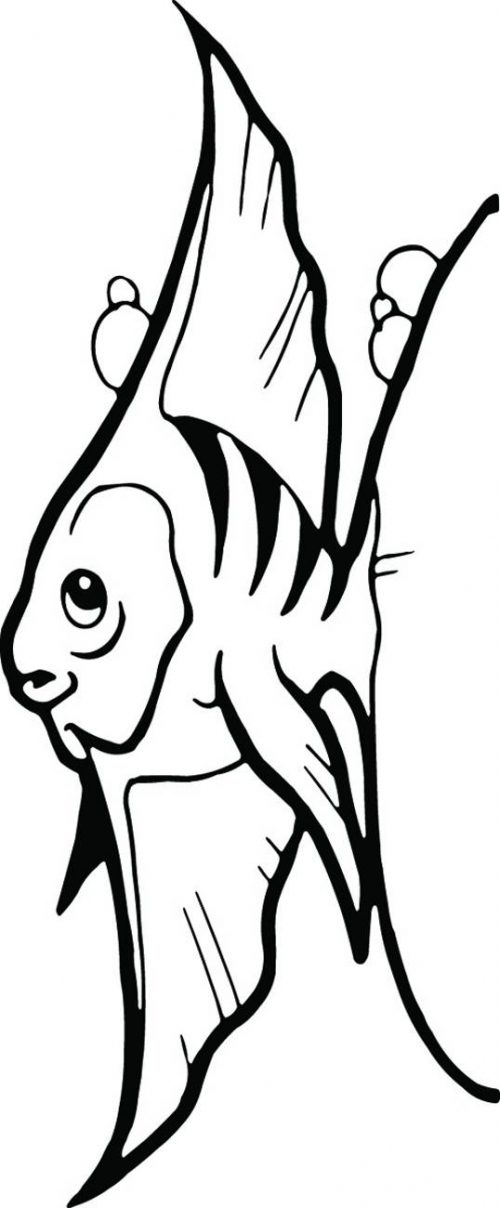 FISH-100