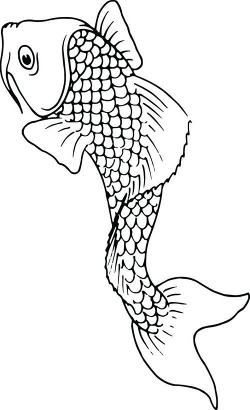 FISH-103