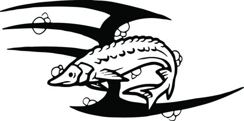 FISH-122