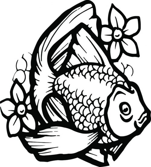 FISH-134