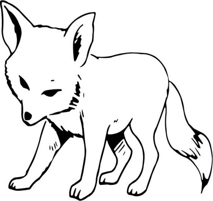 FOX-001