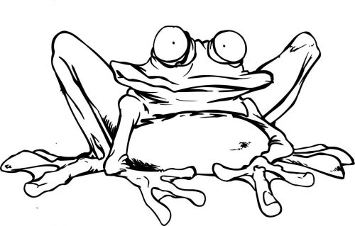 FROG-004