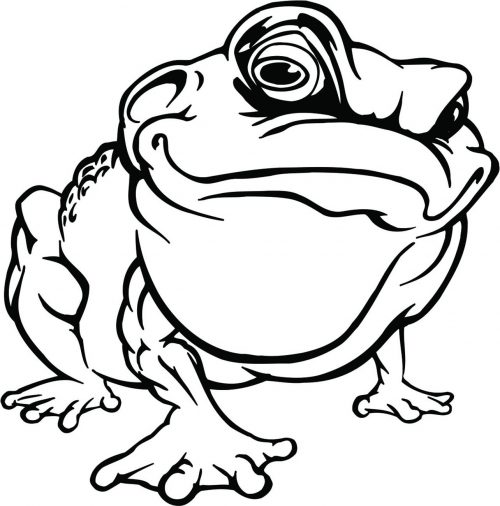 FROG-019