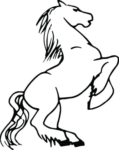 HORSE-115