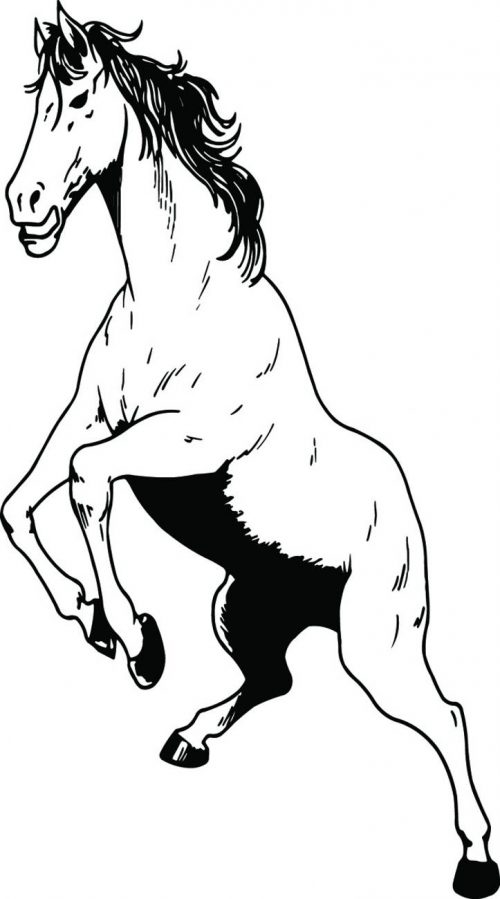 HORSE-118