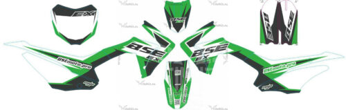 BSE-EX-125-2020 green (old dx plastic)