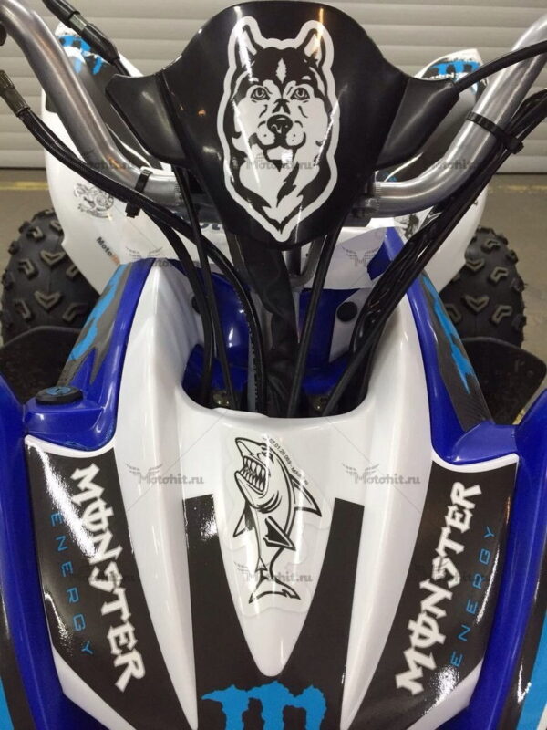 Комплект наклеек Yamaha YFM-250 RAPTOR-MONSTER-BLUE 2008-2014 — изображение 4