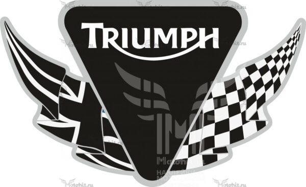 Наклейка DAYTONA VALMOTO 2 color