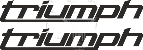 Наклейка Triumph LOGO 2013+