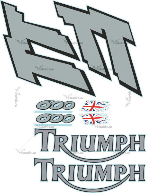 Комплект наклеек DAYTONA TRIUMPH TT-600-2