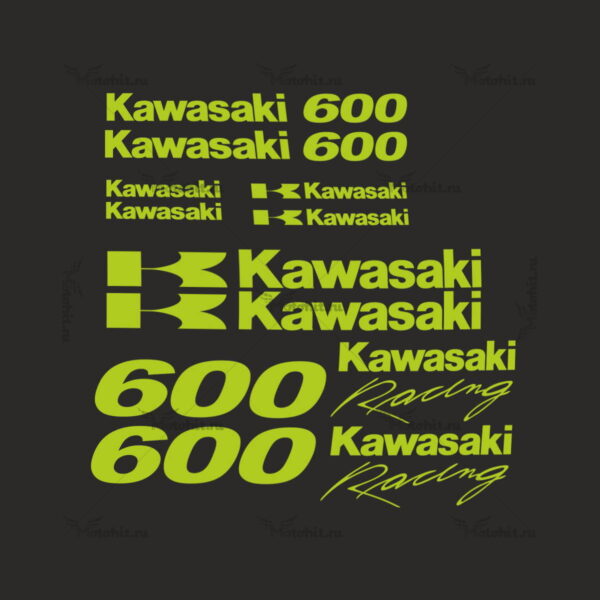 Комплект наклеек Kawasaki ZZR-600 3