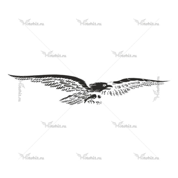 Наклейка EAGLE