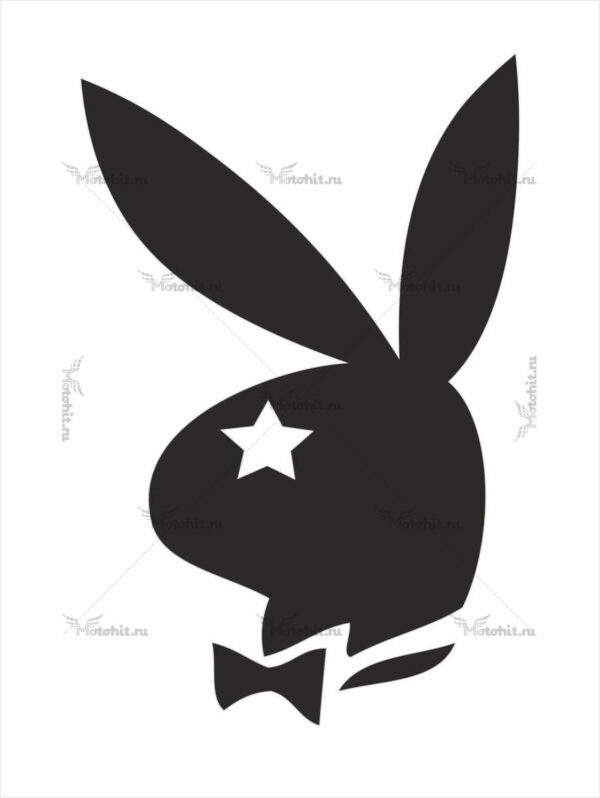 Наклейка PLAYBOY