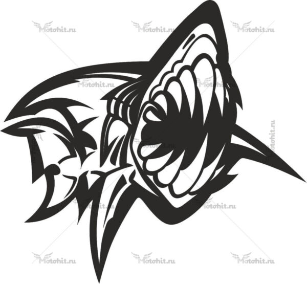 Наклейка SHARK 2