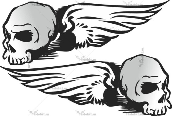 Наклейка SKULLS