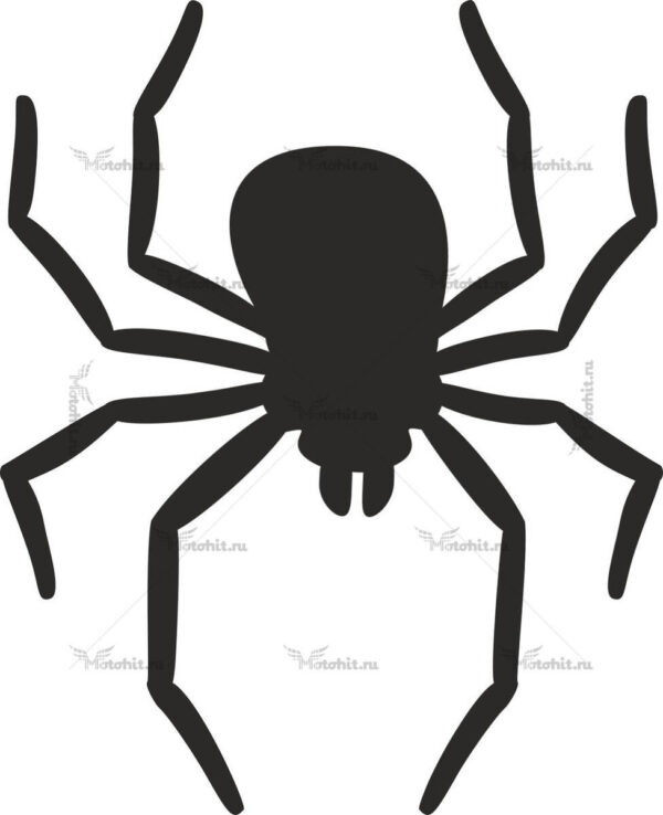 Наклейка SPIDER
