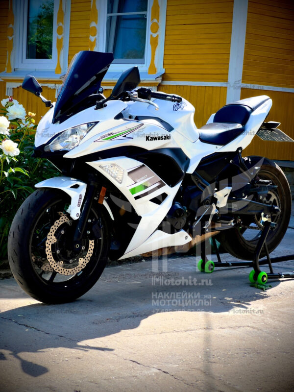 Комплект наклеек KAWASAKI ER-650f 2019 — изображение 2