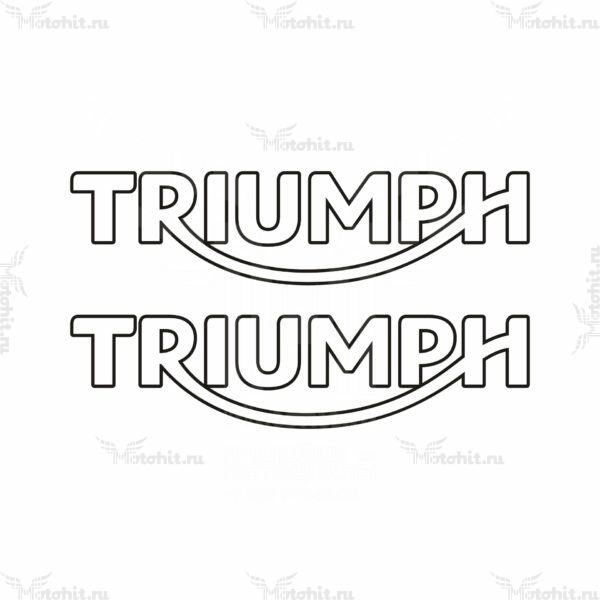 Наклейка DAYTONA TRIUMPH LOGO 2