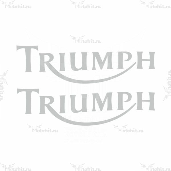 Наклейка DAYTONA TRIUMPH LOGO